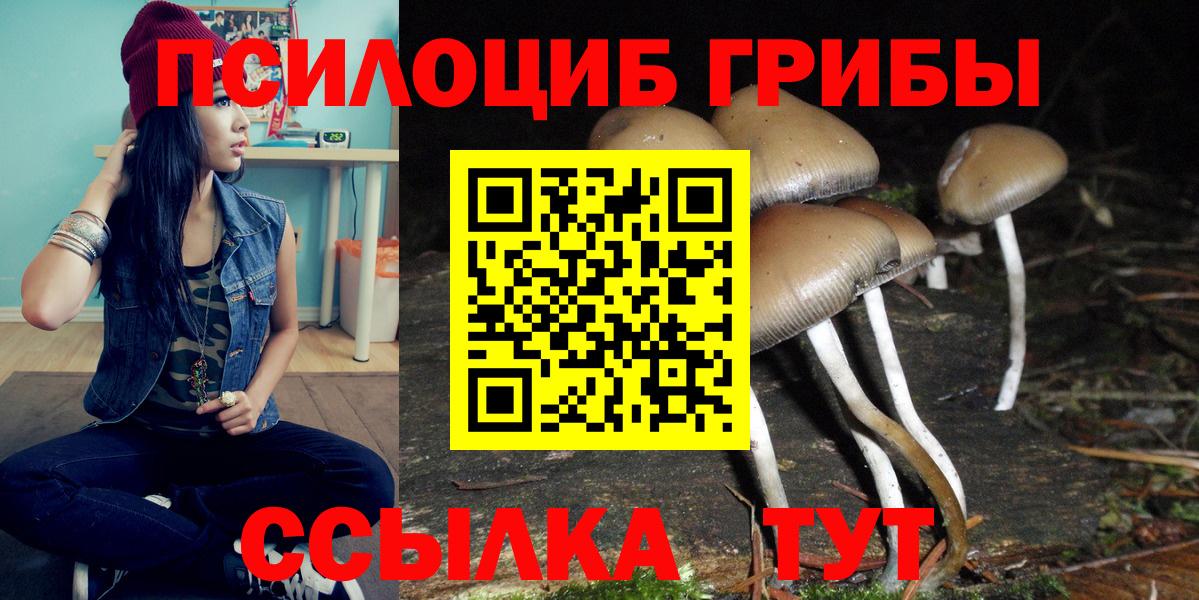 Галлюциногенные грибы Psilocybine cubensis Лениногорск